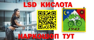 спиды Канаш