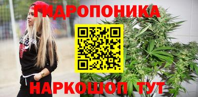 спиды Канаш