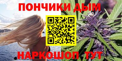 сатива Кандалакша