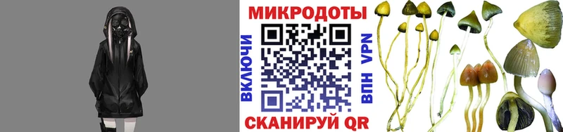 Галлюциногенные грибы Magic Shrooms  купить наркотики цена  Красный Сулин 