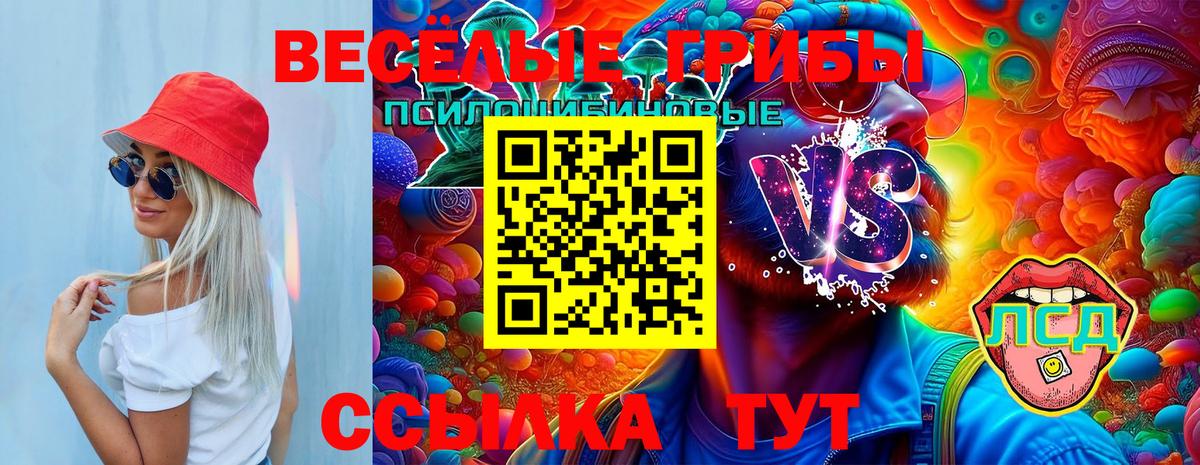 Псилоцибиновые грибы мухоморы Красный Сулин